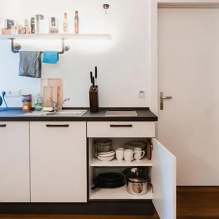 Inselapartment In Altstadtnaehe Διαμέρισμα Ρέγκενσμπουργκ